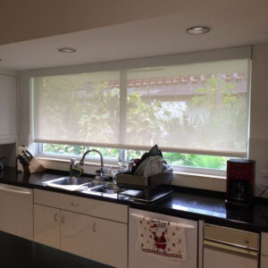 Roller Shade SCREEN & BLACKOUT