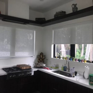 Roller Shade SCREEN & BLACKOUT